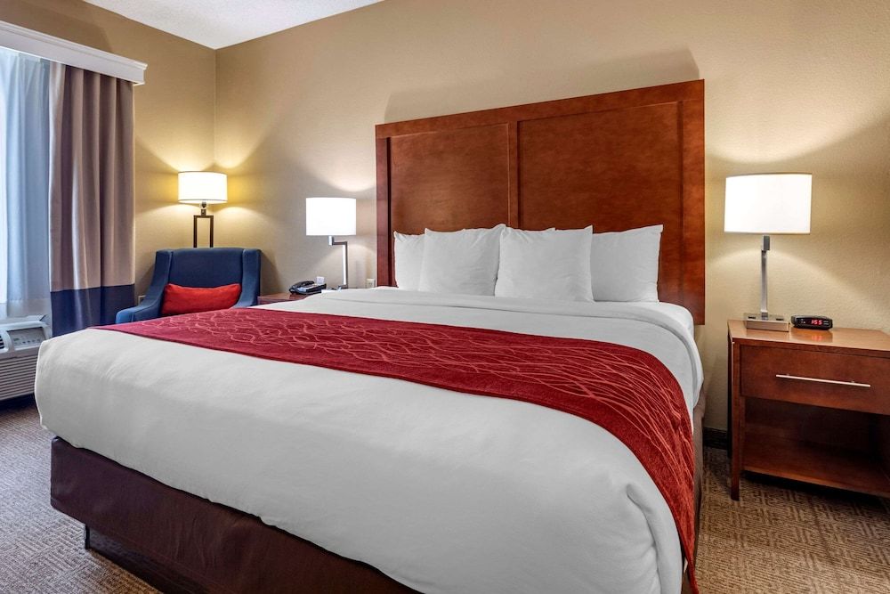 Standard Room, 1 King Bed, Non Smoking