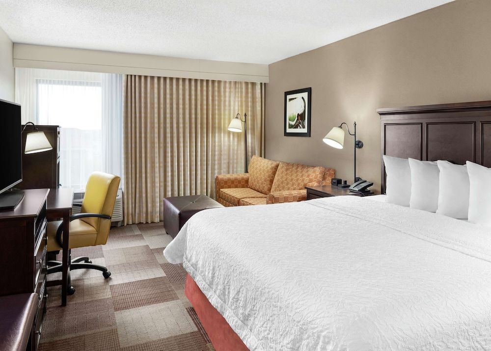 Room, 1 King Bed with Sofa bed, Non Smoking (Drinks & Snacks)
