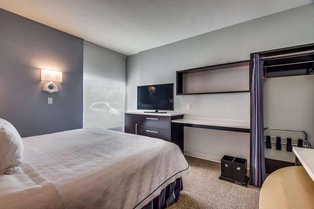 Studio, 1 King Bed, Accessible (Mobility & Hearing, Roll-in Shower)
