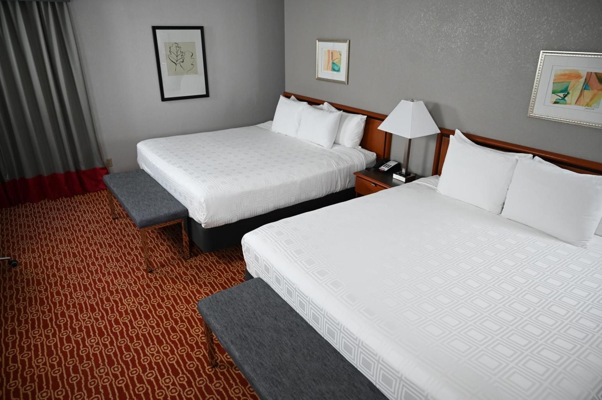 Atrium Hotel and Suites DFW Airport South Deluxe King Suite