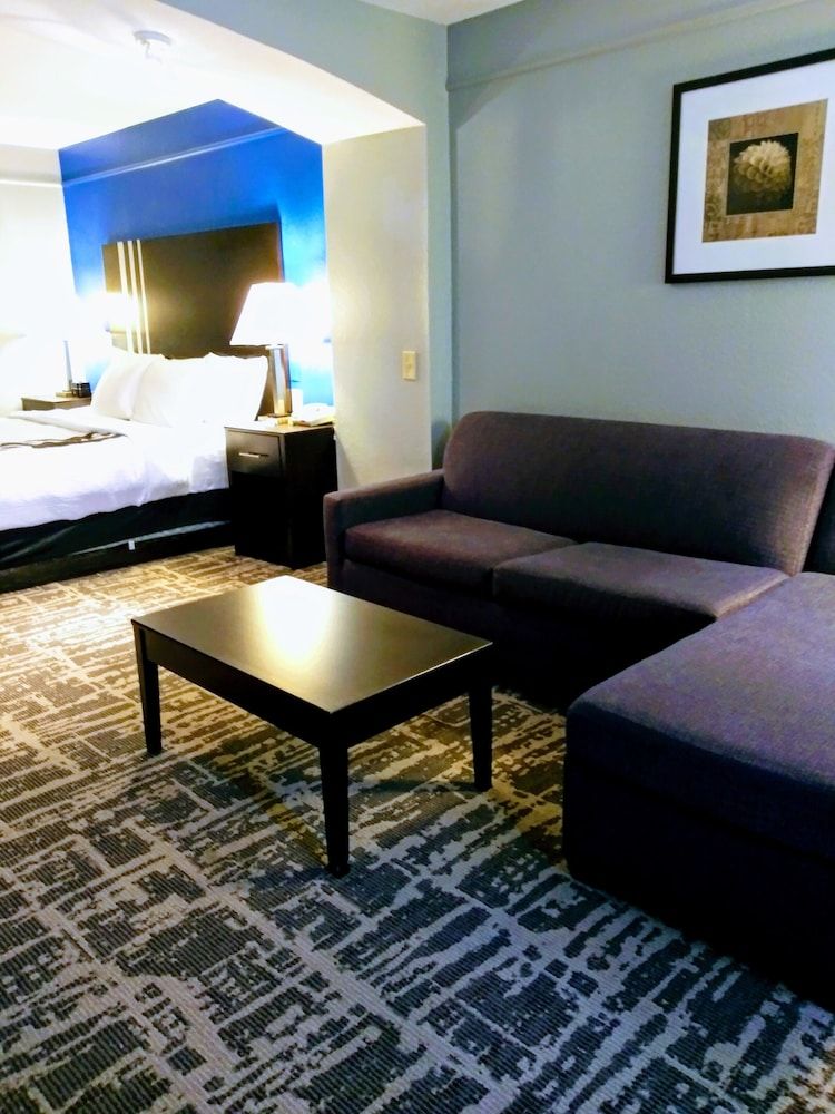 Deluxe Suite, 1 King Bed with Sofa bed, Non Smoking