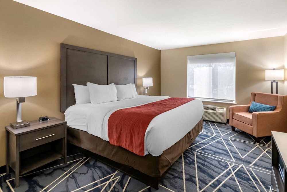 Suite, 1 King Bed with Sofa bed, Accessible, Non Smoking