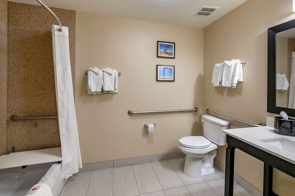 Suite, 1 King Bed with Sofa bed, Accessible, Non Smoking