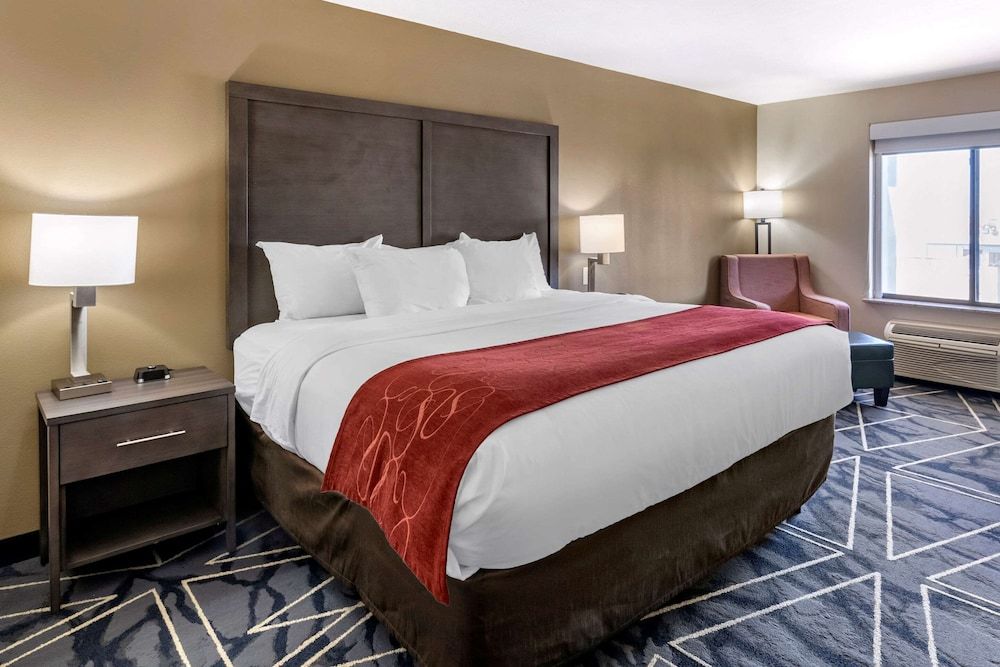 Standard Room, 1 King Bed, Non Smoking