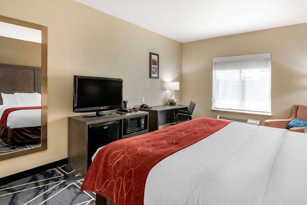 Room, 1 King Bed, Accessible, Non Smoking