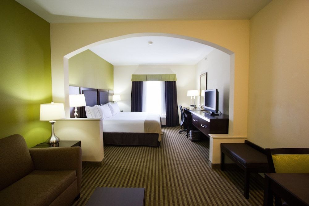 Suite, 1 King Bed with Sofa bed
