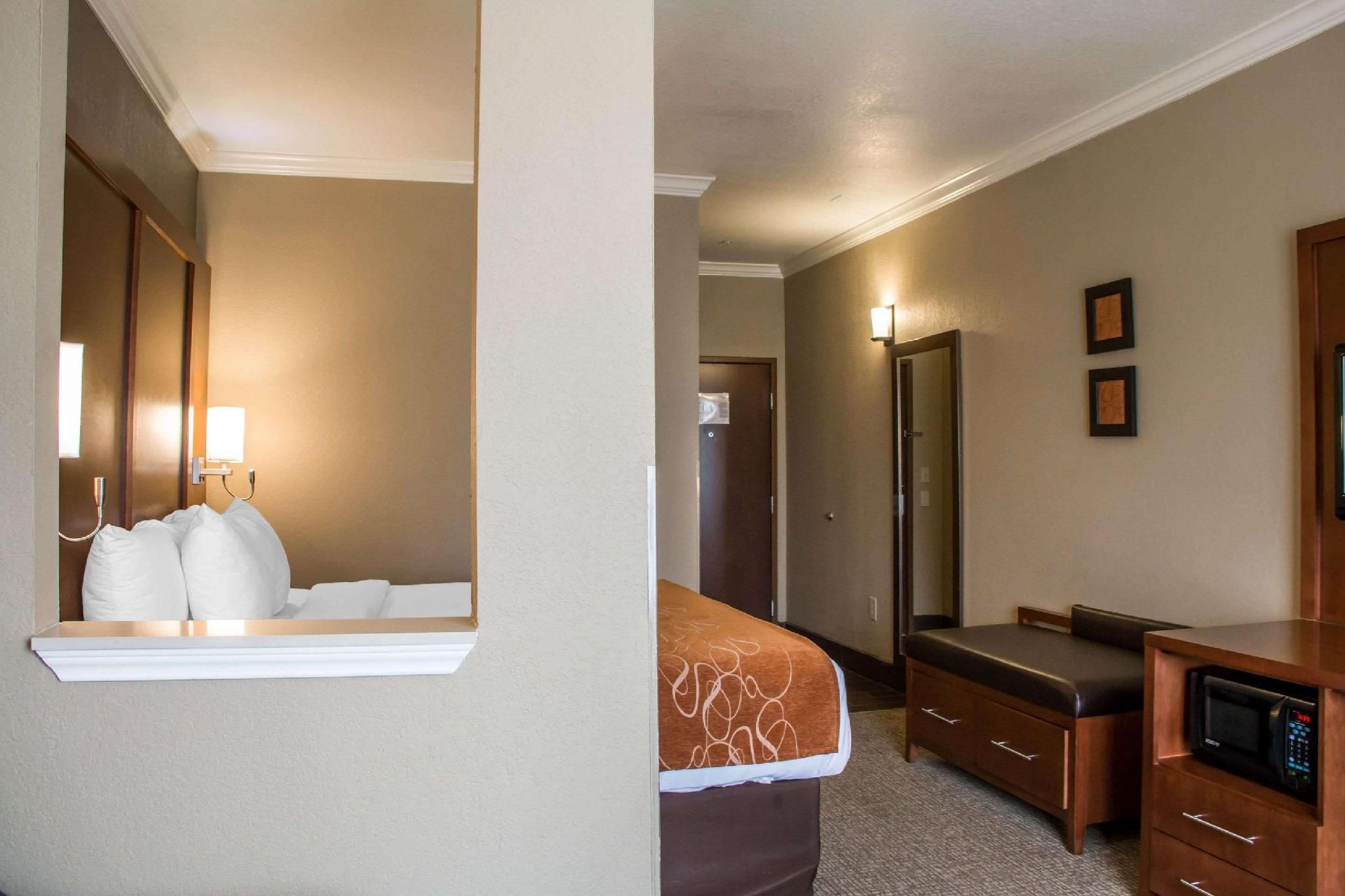 1 King Bed, Suite, Nonsmoking