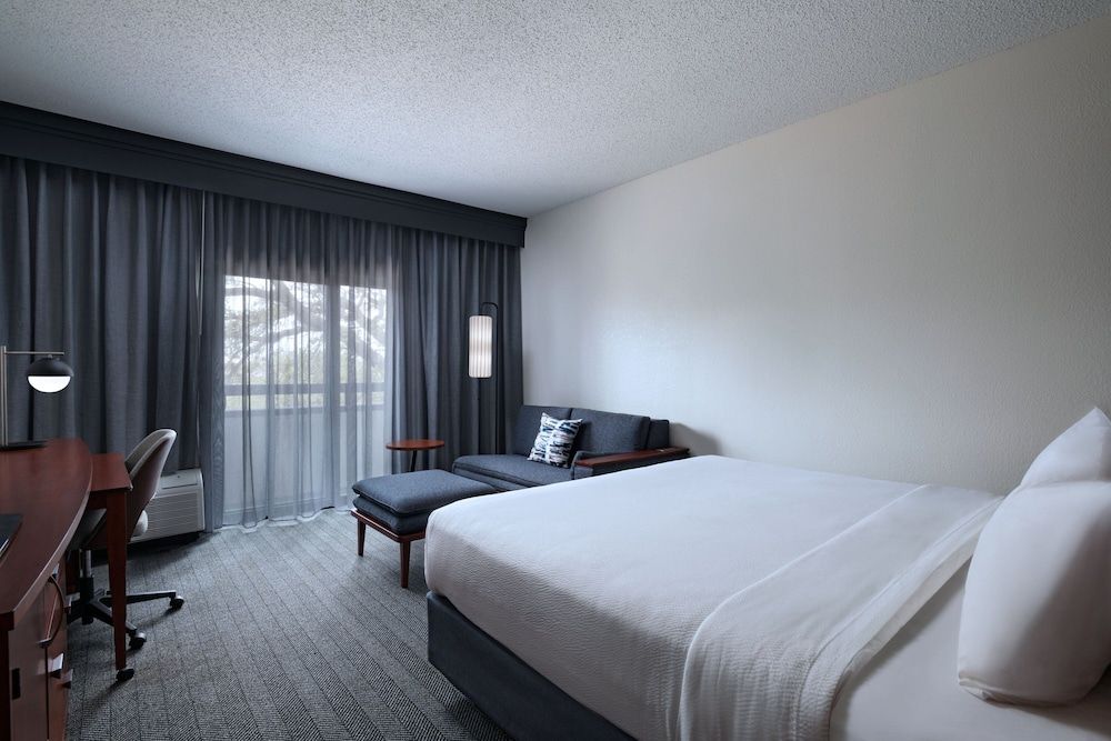 Room, 1 King Bed with Sofa bed (Mobility Accessible, Roll-in Shower)
