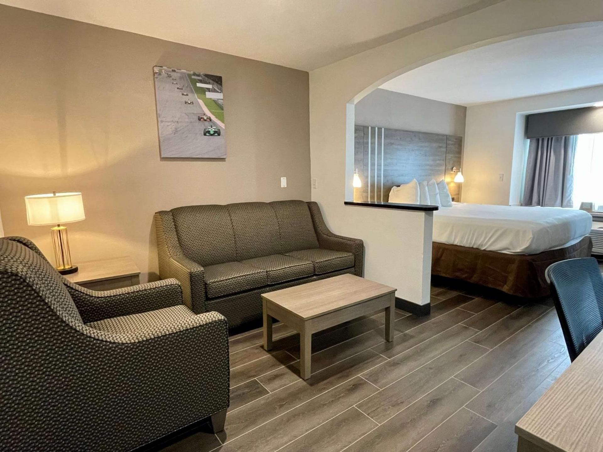 Suite - 1 King Bed, Nonsmoking, Sofabed