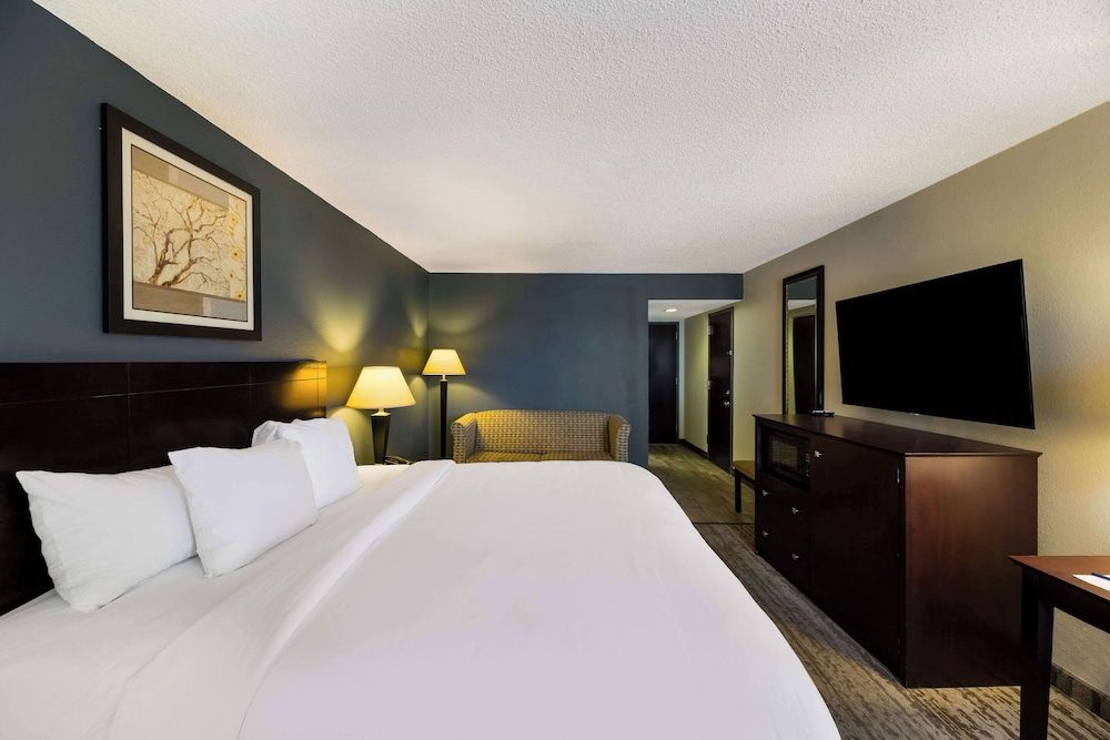 Clarion Hotel San Angelo near Convention Center Standard Room, 1 King Bed, Non Smoking 2