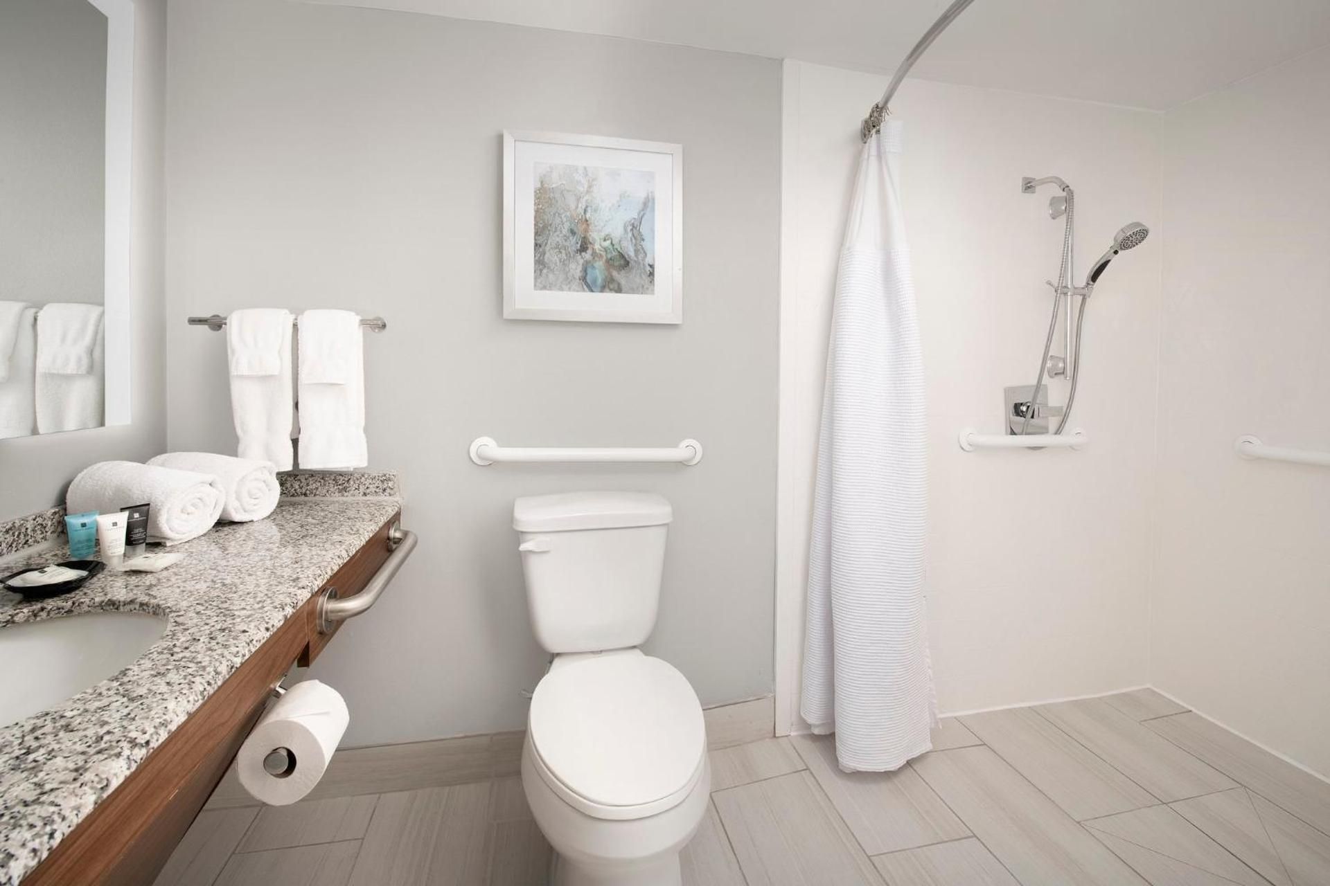 Standard King Room with Mobility Accessible Roll-In Shower