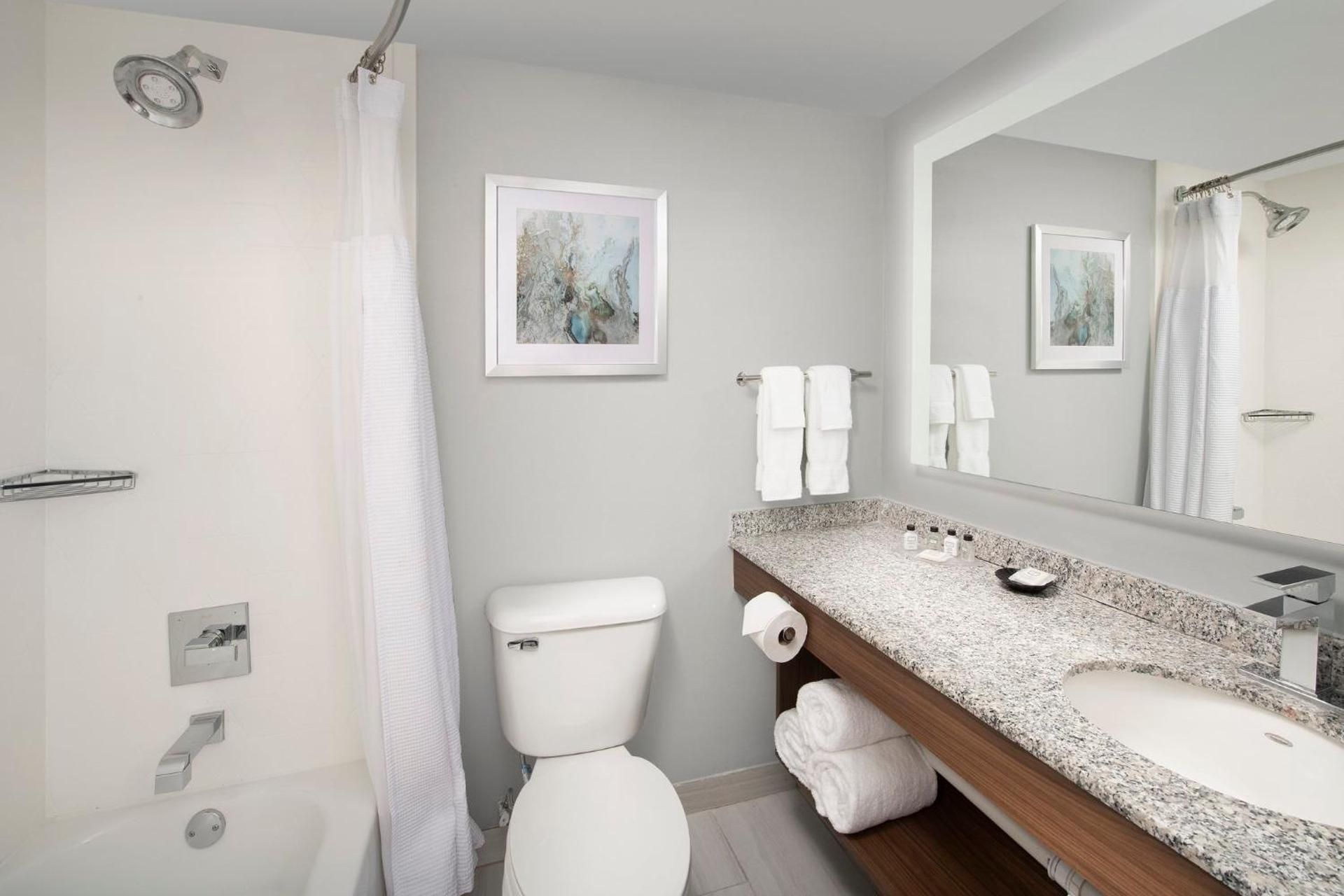1 Bedroom Suite