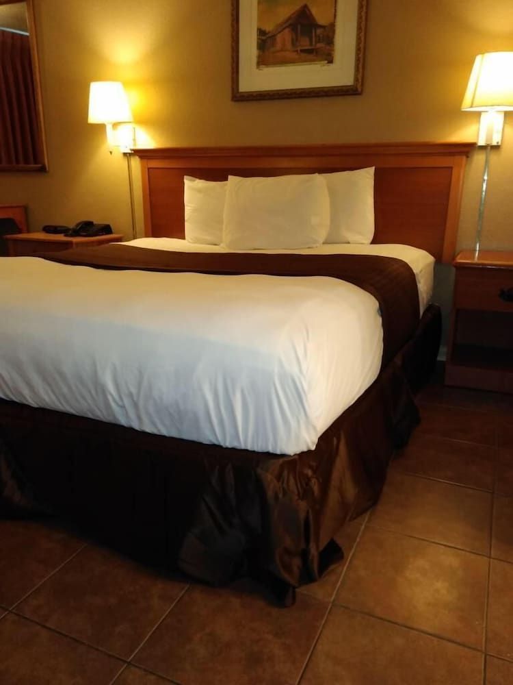 Room, 1 King Bed, Accessible