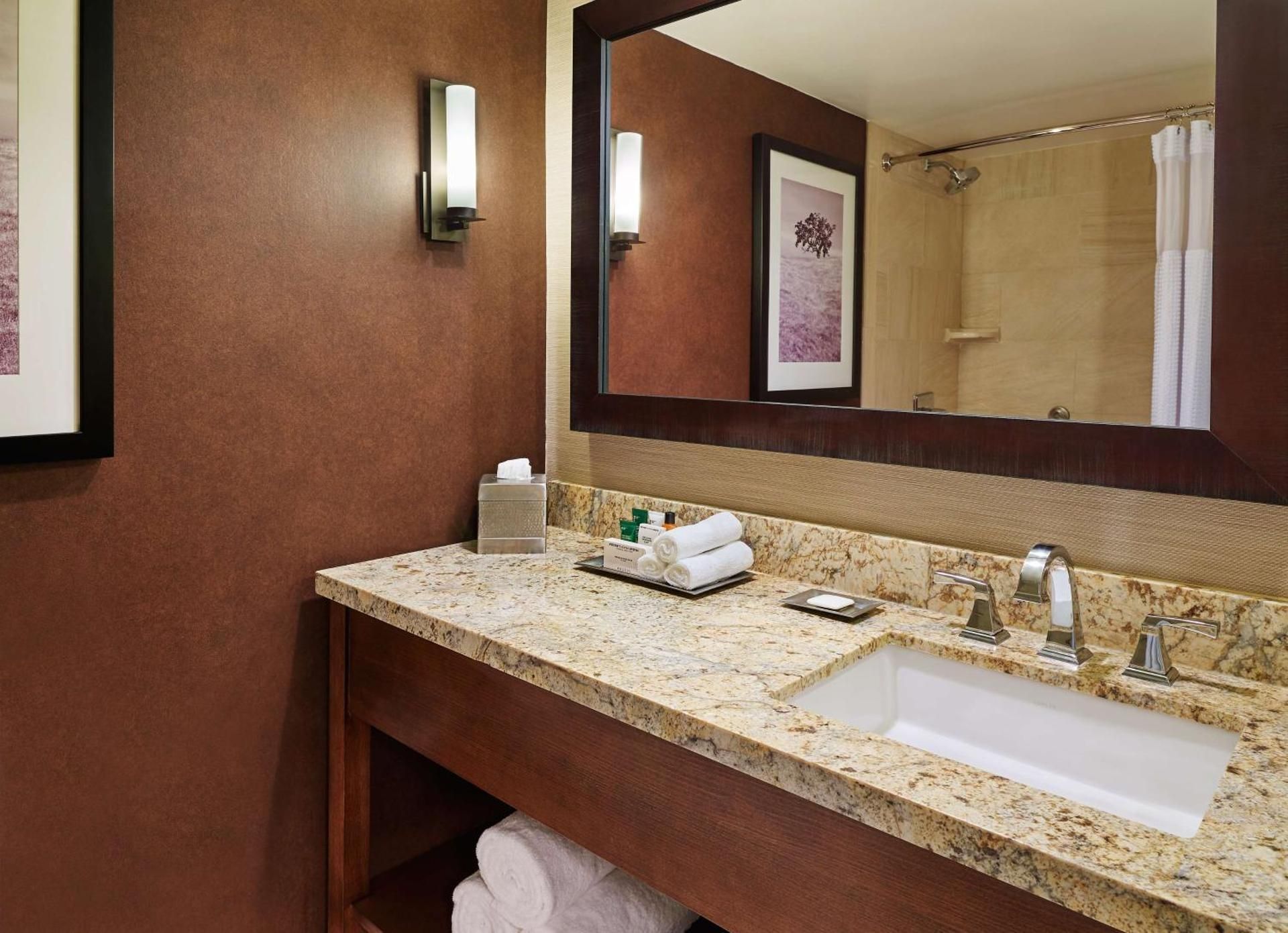 1 Double Mobility/Hearing Accessible Bathtub