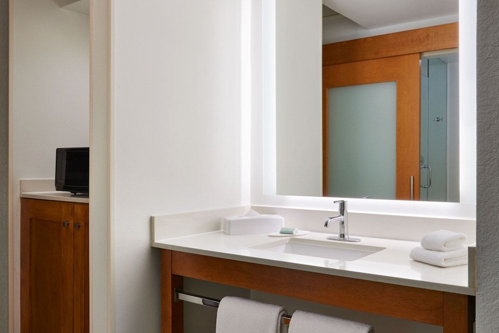 Studio Suite, 1 King Bed with Sofa bed, Non Smoking (Hearing Accessible)