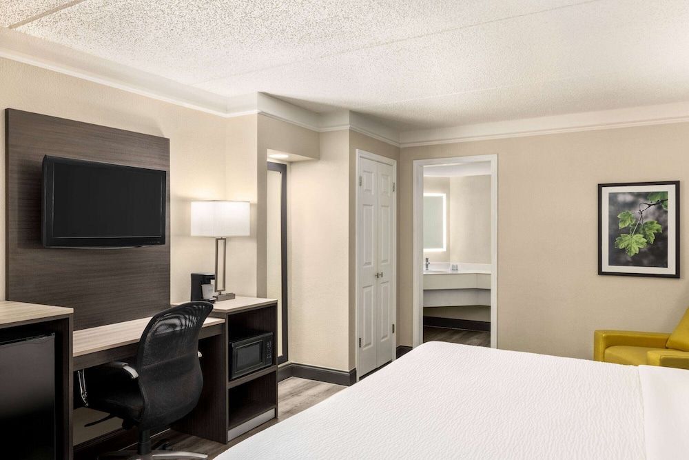 Room, 1 King Bed, Non Smoking