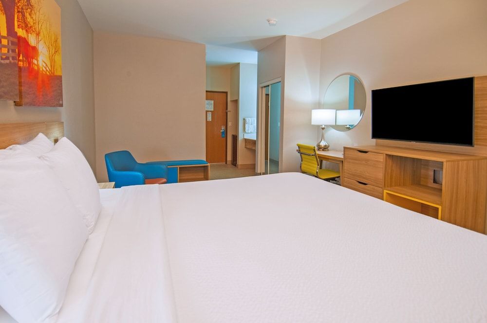 Room, 1 King Bed, Accessible, Non Smoking (Tub with Grab Bars)