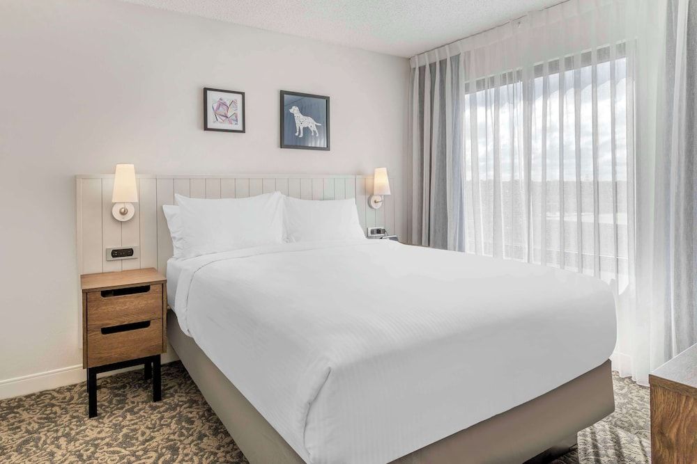 Suite, 1 Queen Bed with Sofa bed, Accessible (Mobility Roll in Shower One Bedroom)