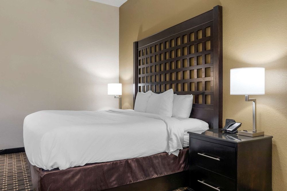 Standard Room, 1 King Bed, Non Smoking
