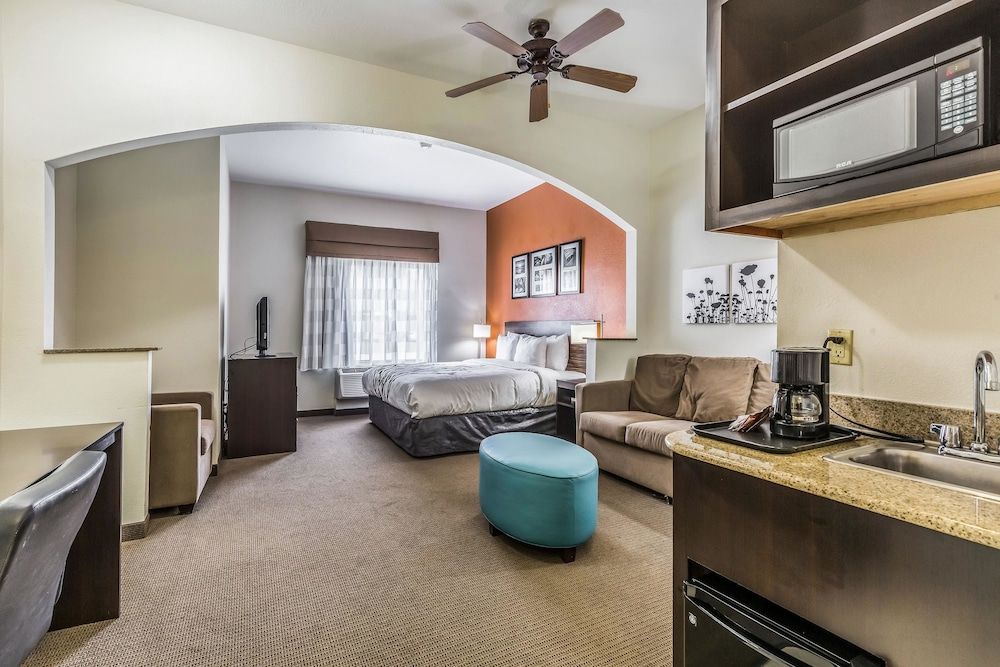 Suite, 1 King Bed with Sofa bed, Non Smoking