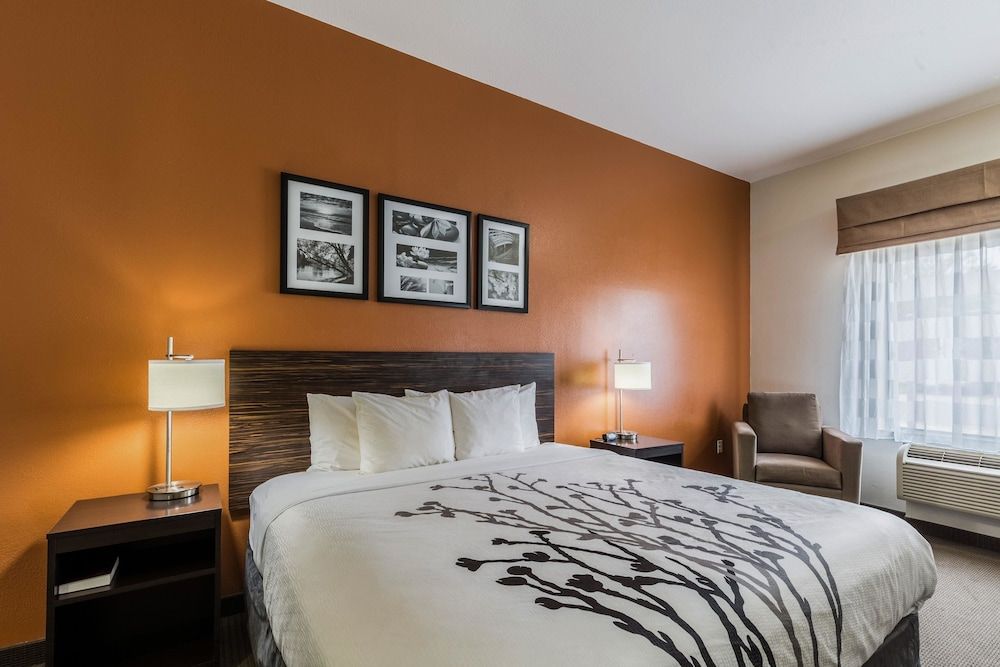 Suite, 1 King Bed with Sofa bed, Accessible, Non Smoking