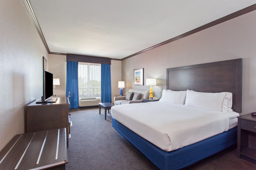 Suite, 1 King Bed, Accessible (Communications, Roll-In Shower)