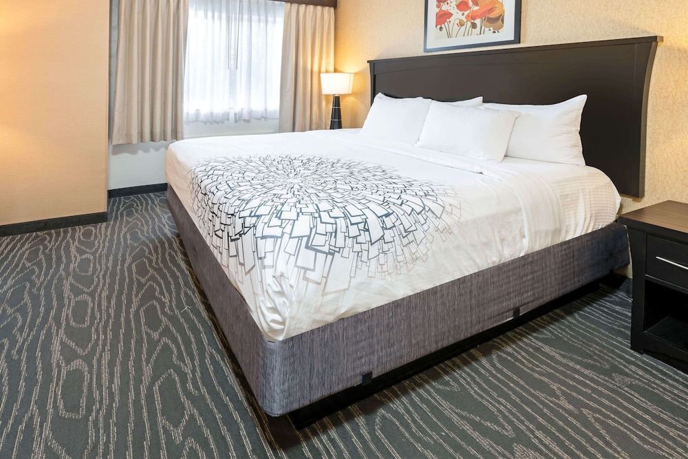 Deluxe Studio Suite, 1 Queen Bed, Non Smoking