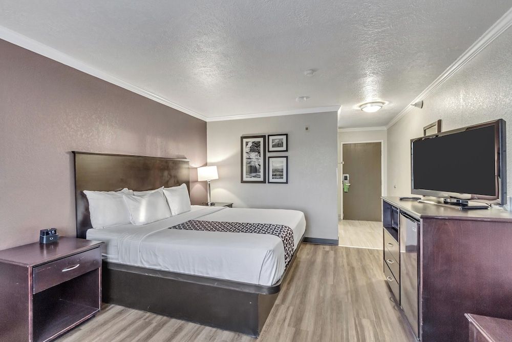 Room, 1 King Bed, Non Smoking