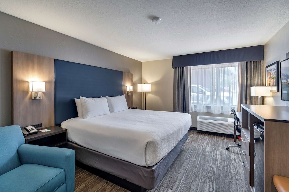 Standard Room, 1 King Bed, Non Smoking, Refrigerator & Microwave