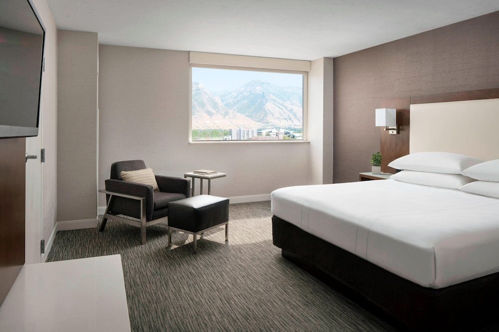 Room, 1 King Bed with Sofa bed