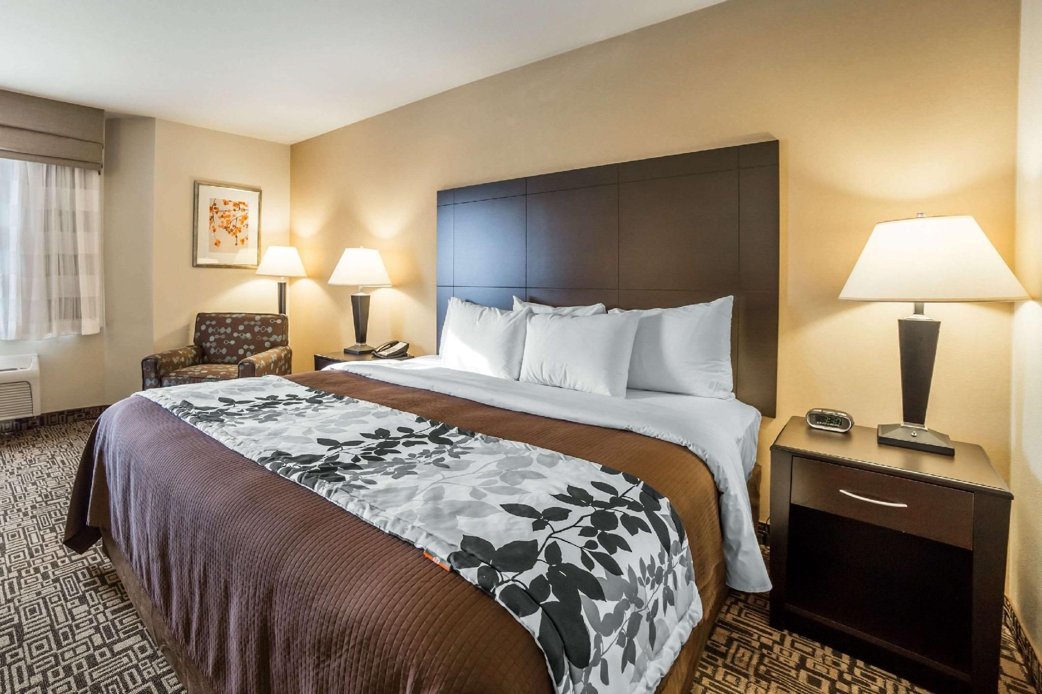 1 King Bed, Nonsmoking, Accessible