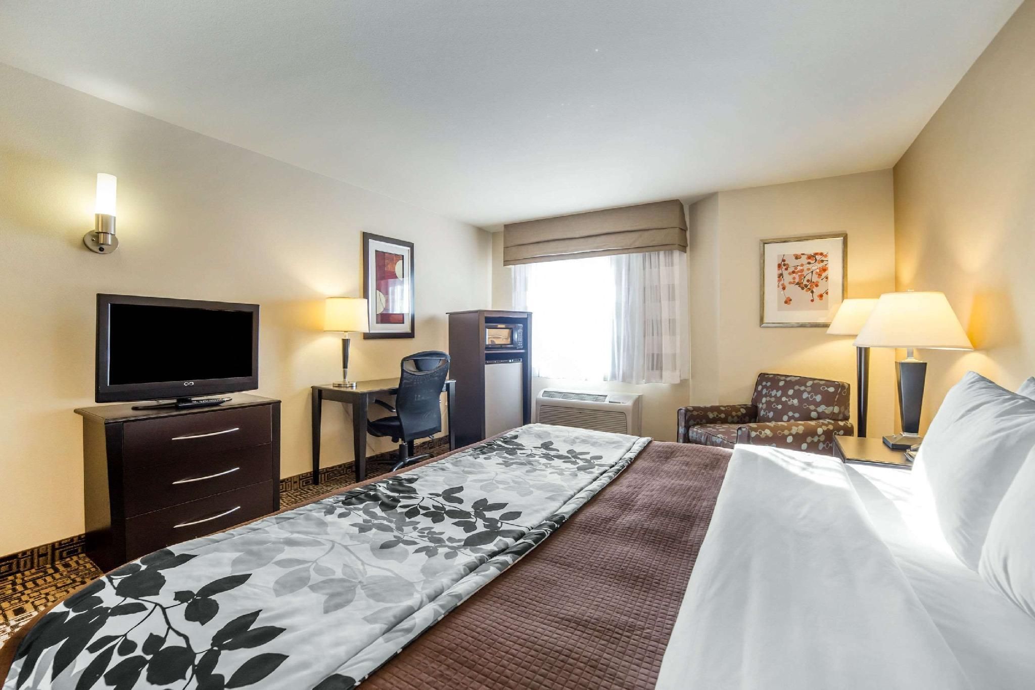1 King Bed, Nonsmoking, Accessible