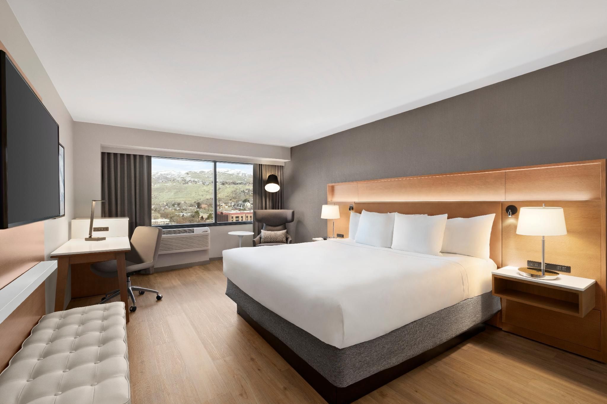 1 King Bed, Nonsmoking, Accessible
