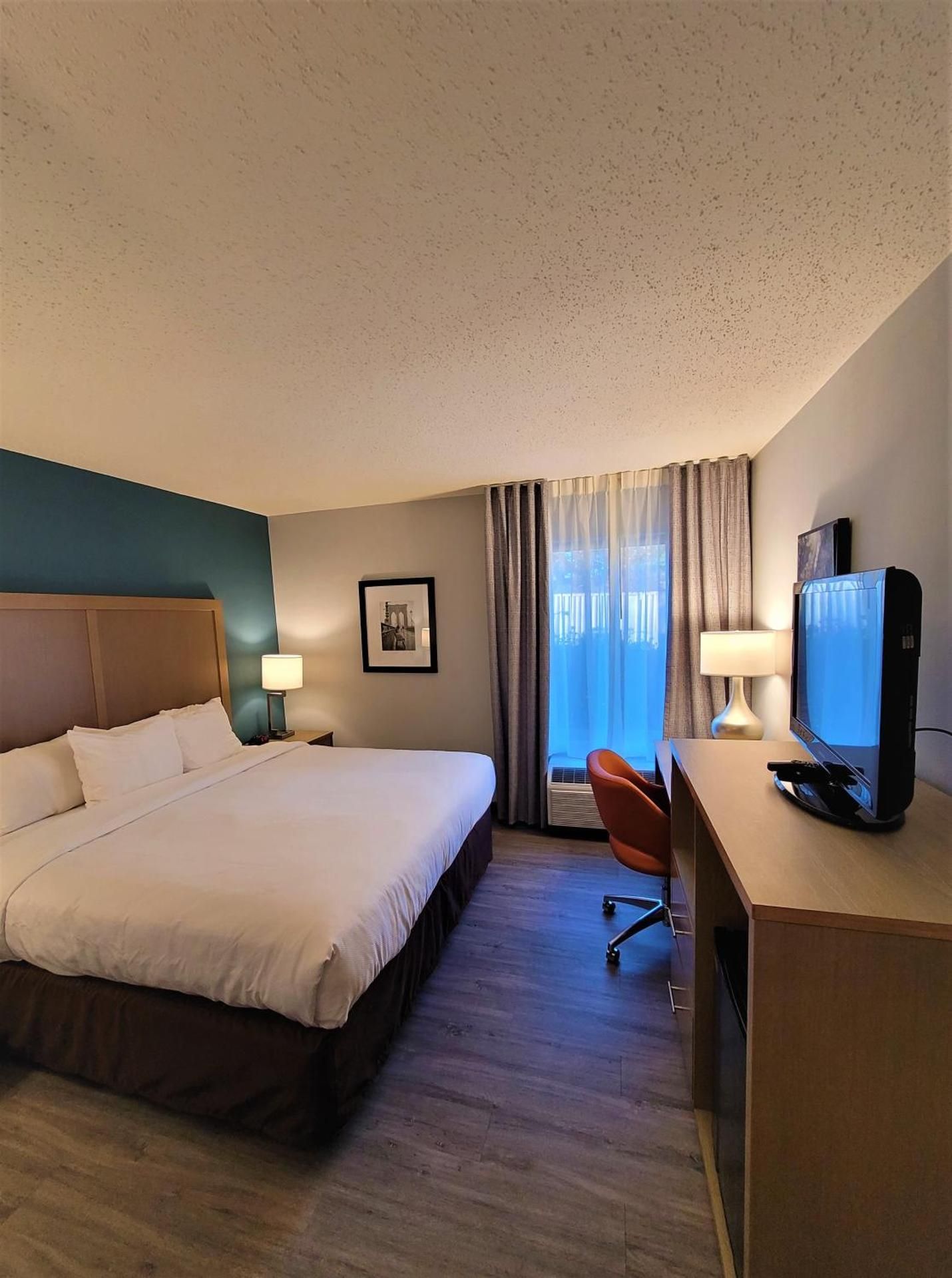 1 King Bed, Nonsmoking, Accessible