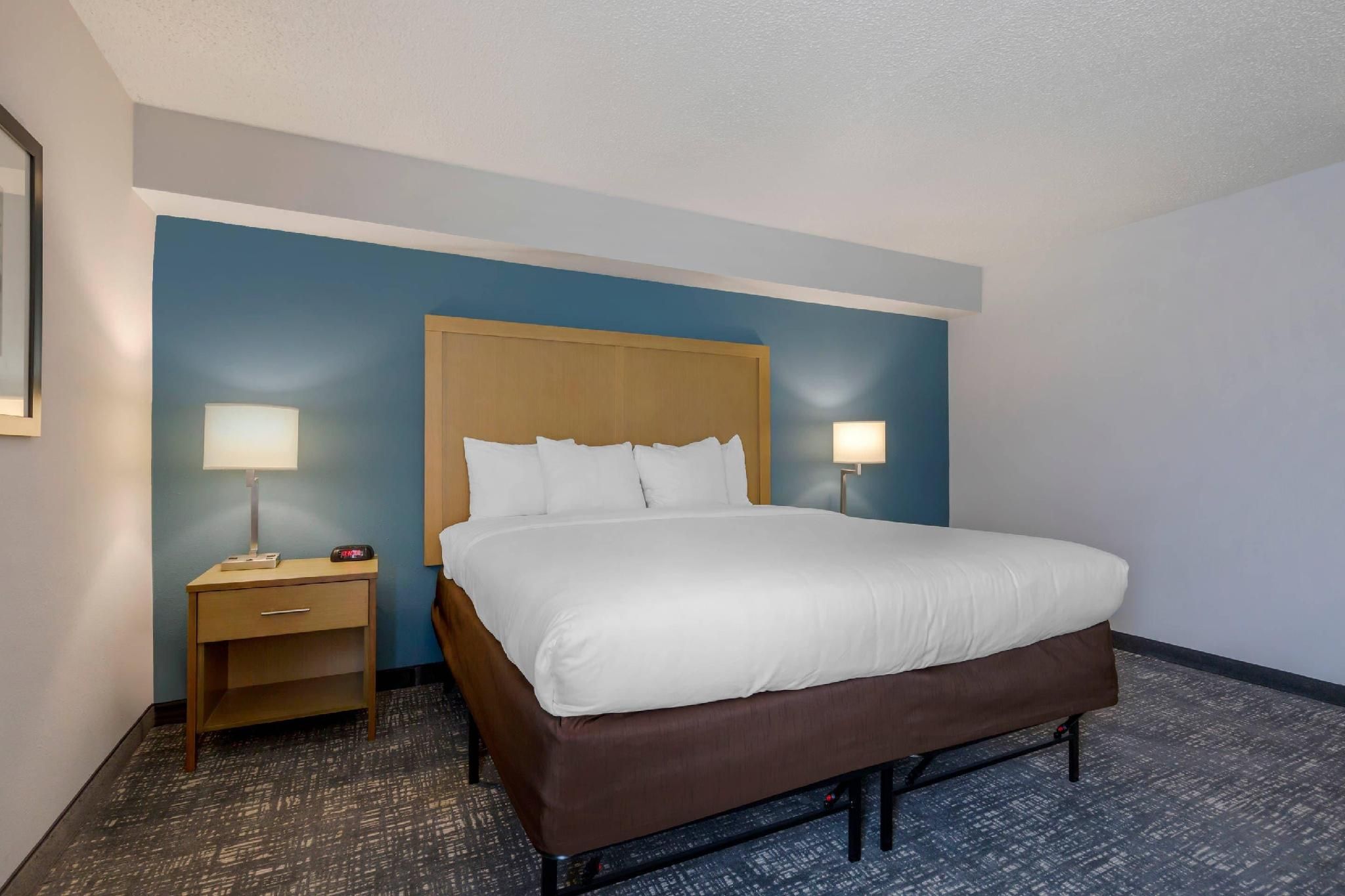 1 King Bed, Nonsmoking, Accessible