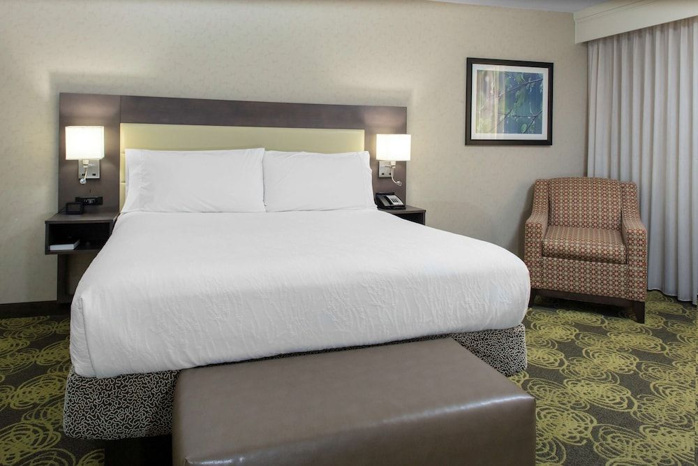 One Bedroom Suite, 1 King Bed (Balcony)
