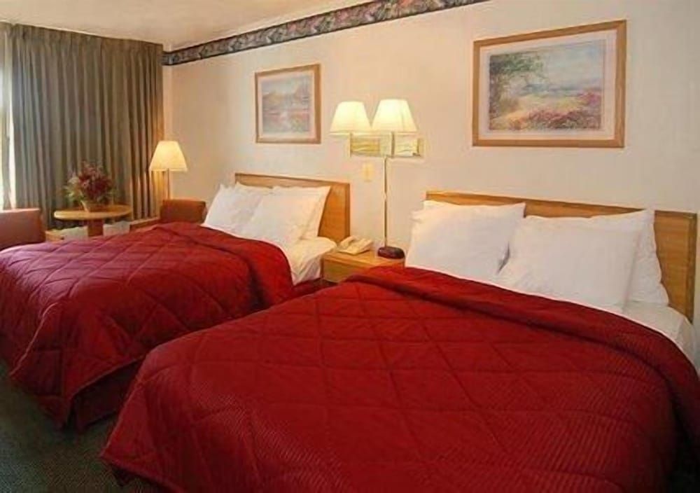 Standard Double Room, 2 Double Beds, Non Smoking