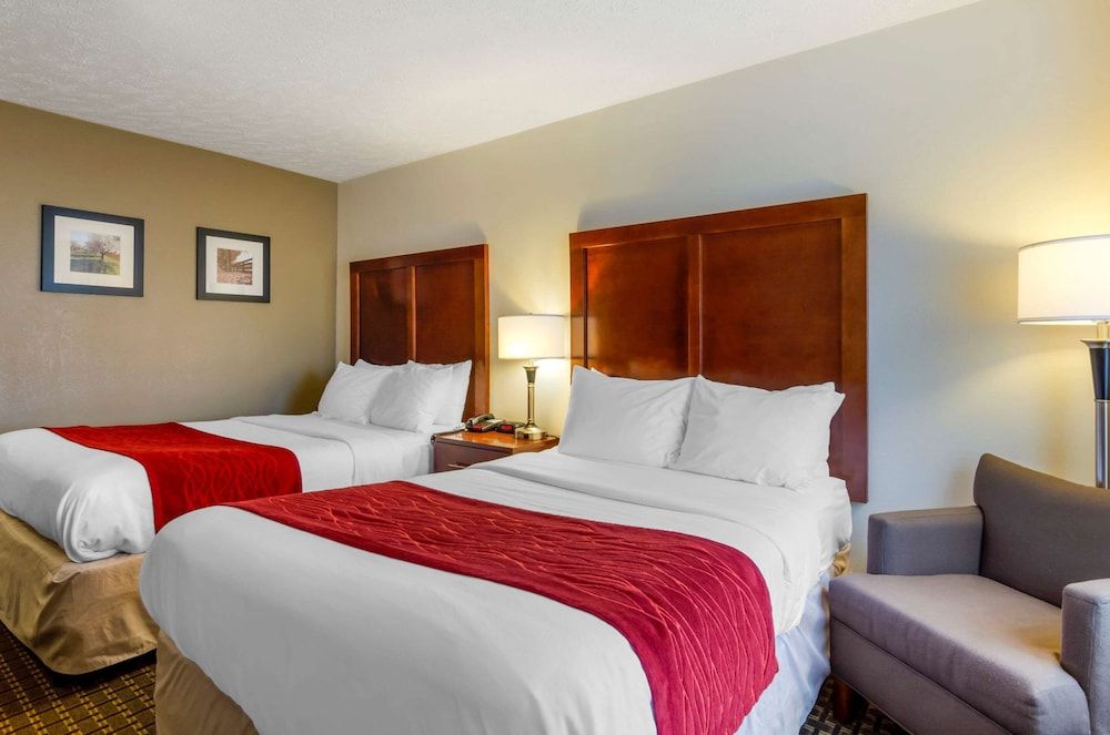 Room, 2 Twin Beds, Non Smoking (Pet Friendly)