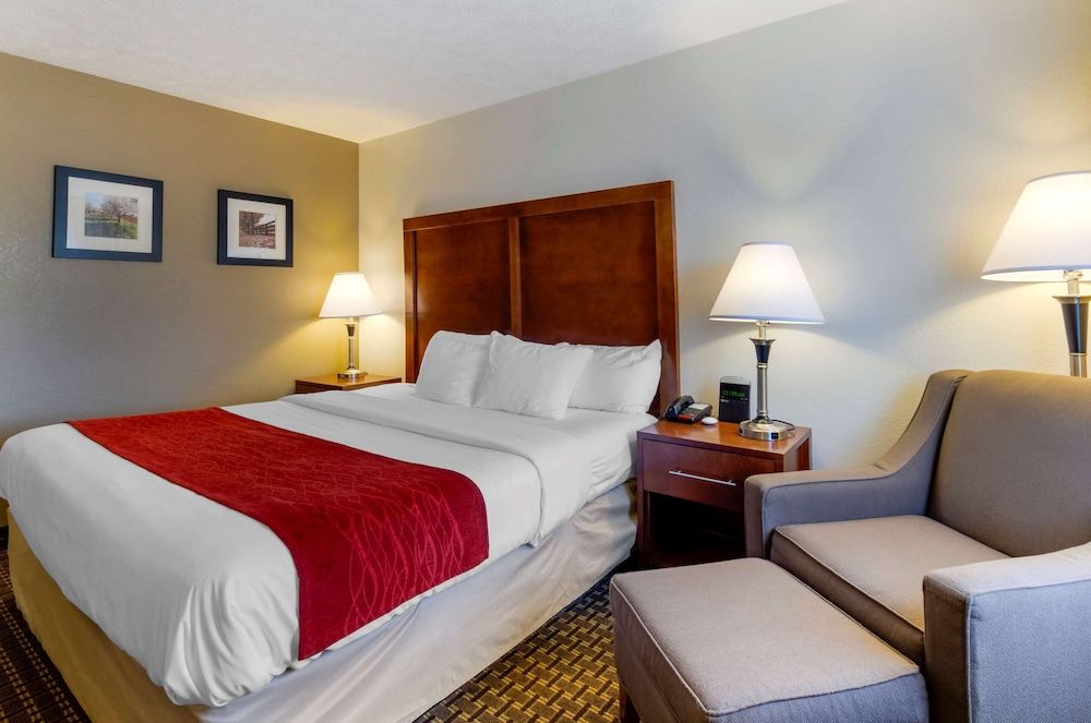 Room, 1 King Bed, Accessible, Non Smoking