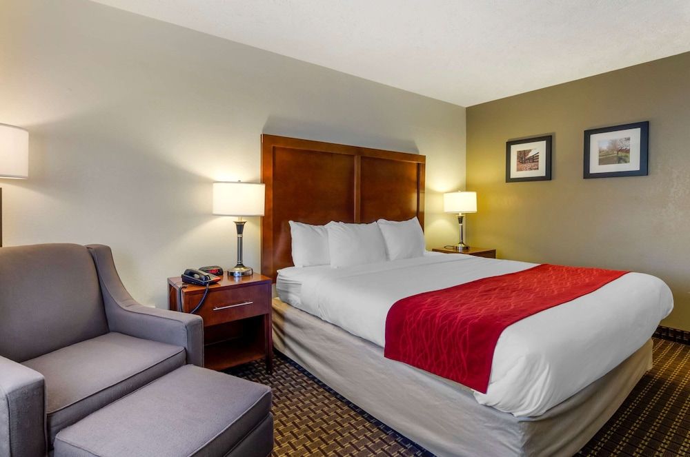 Standard Room, 1 King Bed, Non Smoking