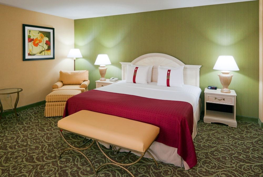 Suite, 1 King Bed with Sofa bed