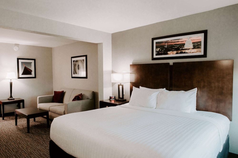 Standard Room, 1 King Bed with Sofa bed