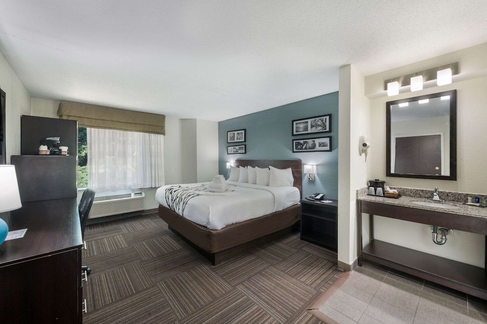 Room, 1 King Bed, Non Smoking