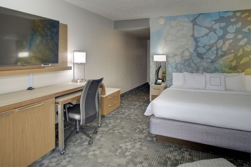 Room, 1 King Bed with Sofa bed (Mobility/Hearing Accessible, Tub)