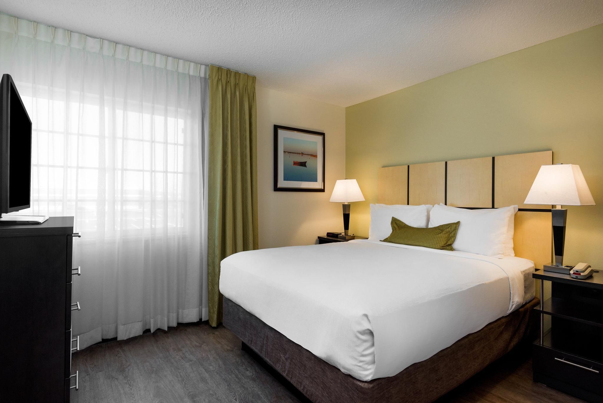 1 Queen Bed 1 Bedroom Suite Sofa Bed