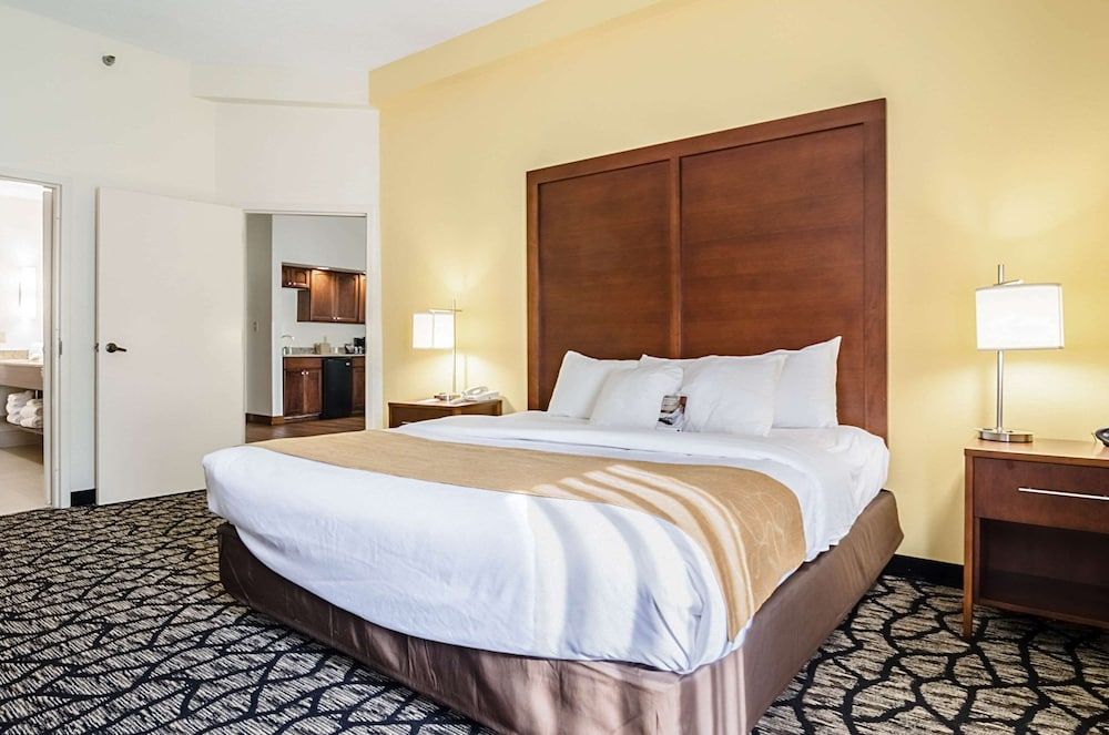 Studio Suite, 1 King Bed with Sofa bed, Non Smoking