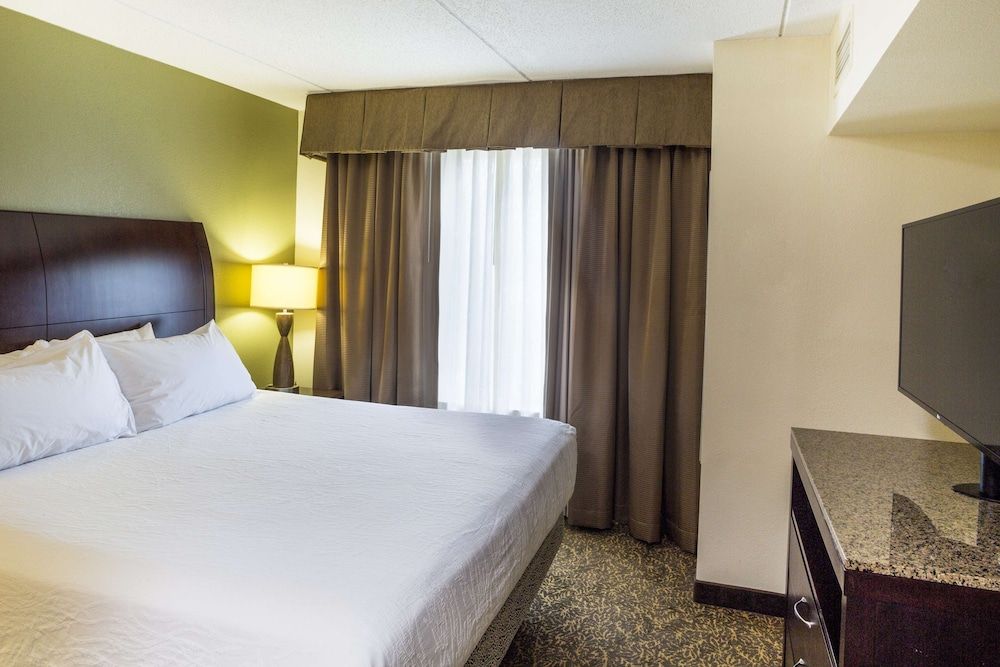 Suite, 1 King Bed with Sofa bed