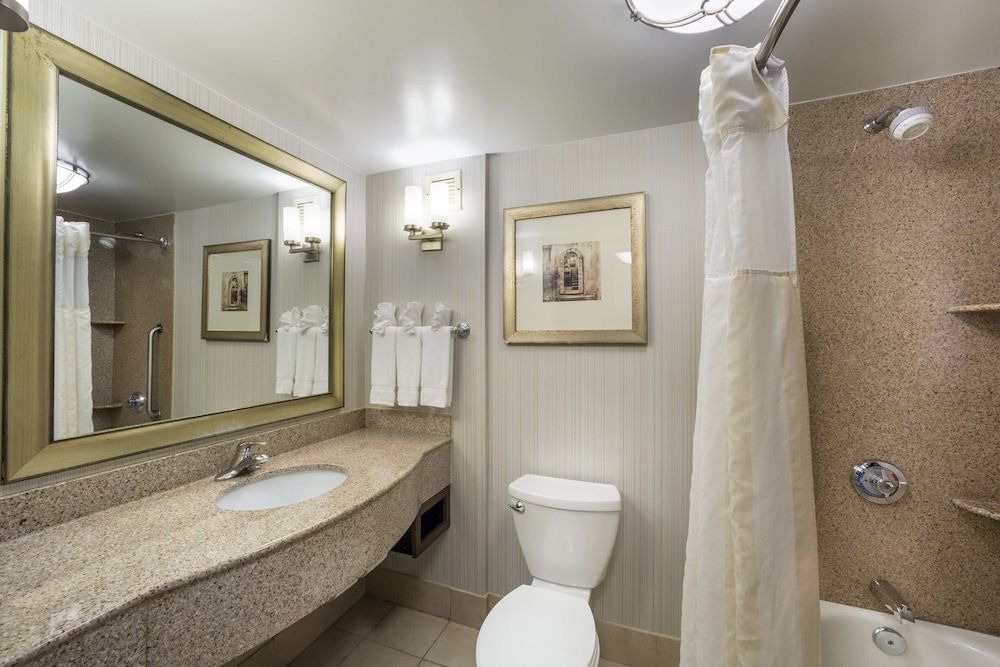 Suite, 1 King Bed with Sofa bed