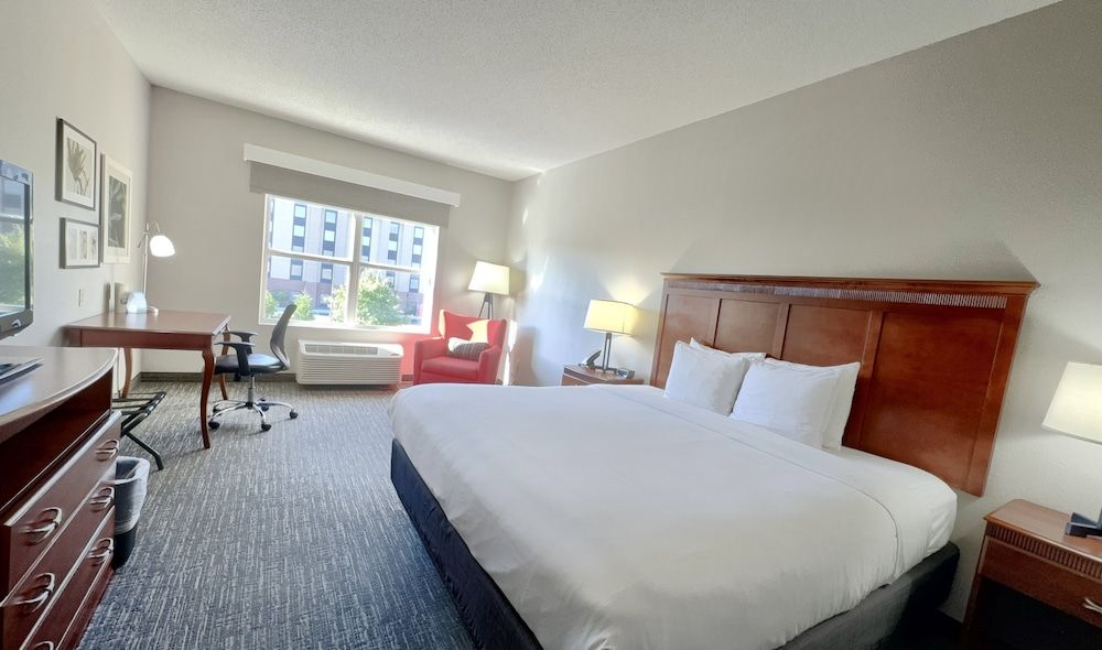 Room, 1 King Bed, Accessible, Non Smoking (Roll-in Shower)