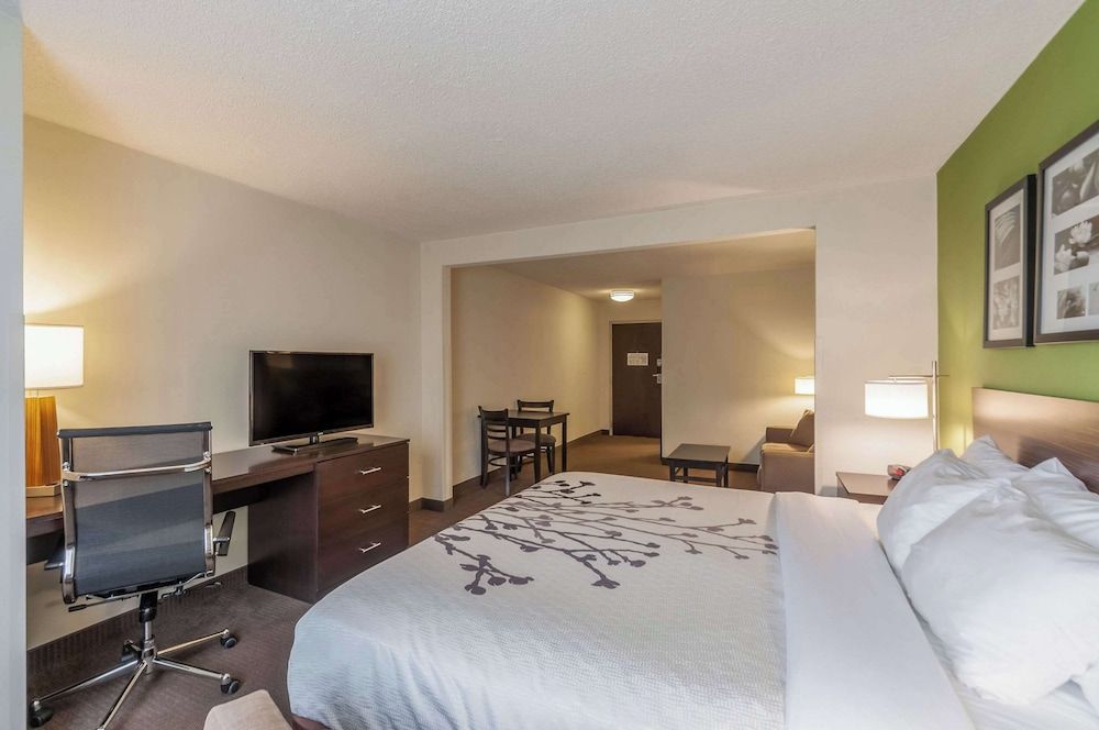 Suite, 1 King Bed with Sofa bed, Non Smoking